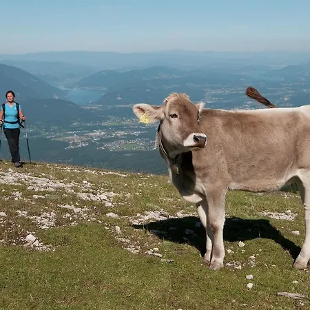 Lovely In With Sauna Lejlighed Tröpolach